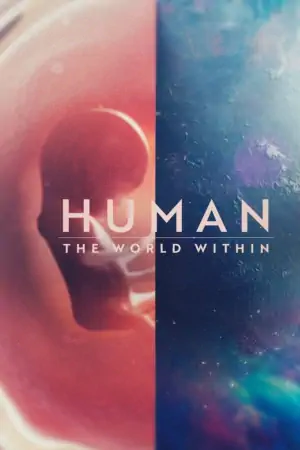 Постер Человеческое тело: Мир внутри