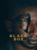 Постер Чёрный ящик